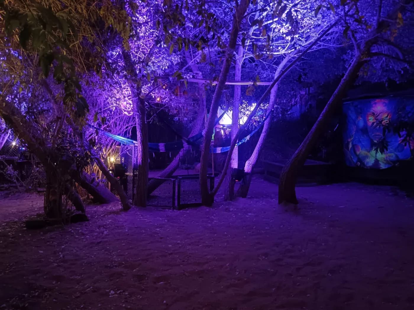Iluminación ambiental violeta sobre árboles en una experiencia inmersiva al aire libre